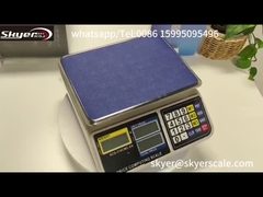 Digitale gewichtsschaal van 30 kg 1 g met LCD-achterlicht