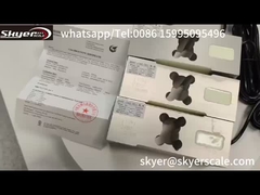 ZEMIC L6G 500 kg belastingsensorcellen voor industriële weegplatformschaal