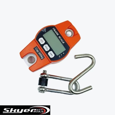 kwaliteit  300kg Digital Crane Scale with LED LCD Display Fabriek