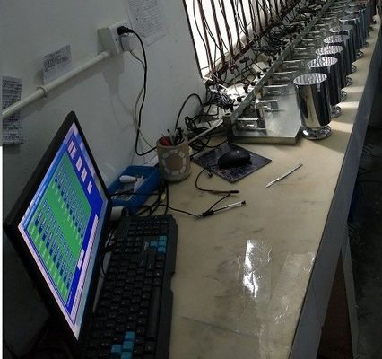 Van de de Weegbrugindicator van de overbelastingsbescherming Digitale de Ladingscel