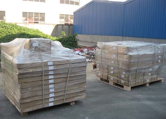 Digitale Elektronische Gewichtsplatform het Wegen Vloerschaal 1000kg 3000kg 2t 5ton