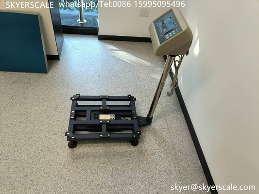 Industriële digitale weegmachine 450x600mm 300kg Platformwaarden