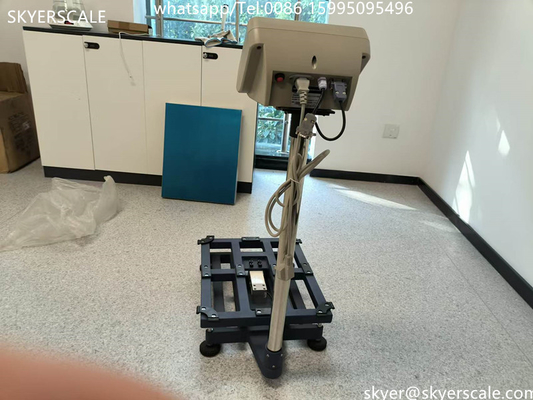 Industriële digitale weegmachine 450x600mm 300kg Platformwaarden