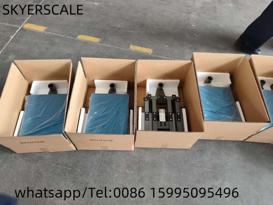 Economische weegschaal 200 kg Carbon Steel Platformschaal