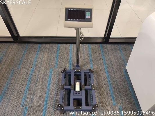 Digitaal koolstofstaal 45x60cm 300kg platformschaal bench schaal met T7 + E weegindicator