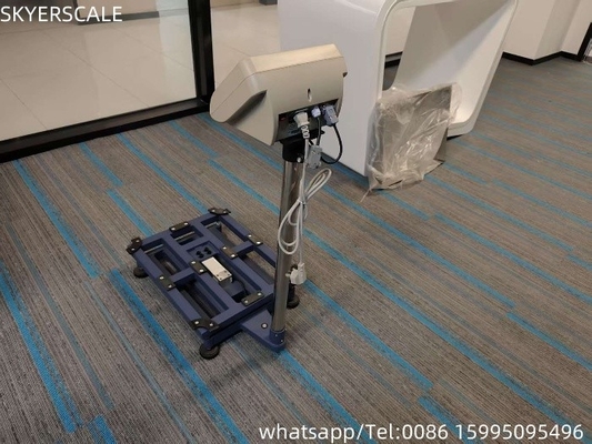 Platform Elektronische weegbalans Economie Bench Scale 300kg
