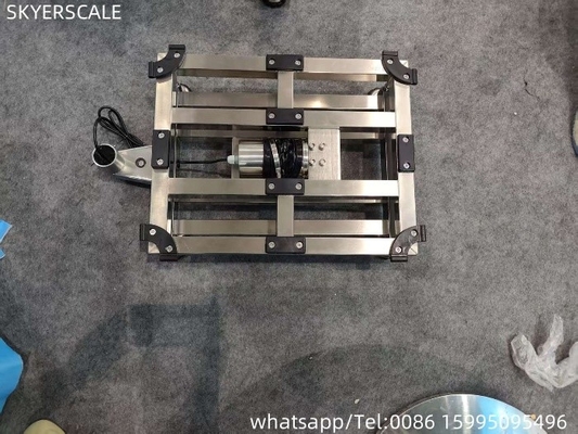 Fabriek 304 volledig roestvrij staal 400x500mm 300kg waterdicht IP67 platform schaal