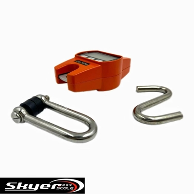 300 kg digitale kraanweegschaal met LED LCD-scherm