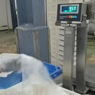 30x40cm 304 Roestvrijstalen Waterdichte Weegschaal   100kg